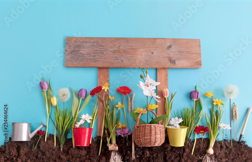 Spring garden with wooden sign post