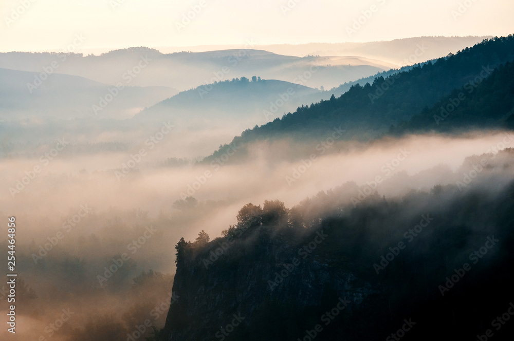 pine forest - valley shrouded in fog in the rays of dawn pine forest - valley shrouded in fog in the rays of dawn