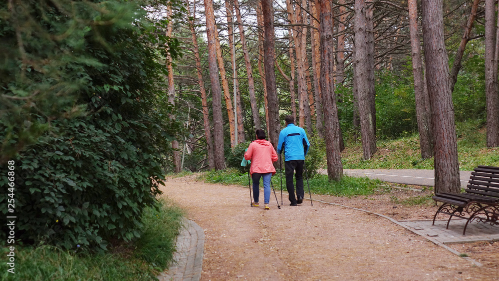 Obraz premium A woman and a man engaged in Nordic walking in the Park. Healthy lifestyle.