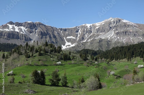 flowering meadows and village landscapes.savsat/artvin/turkey 