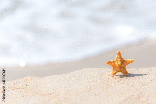 Starfish on the beach background blue sky.  Summer Concept