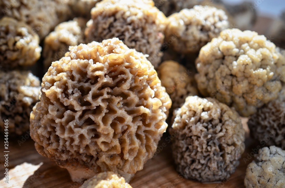 Mushrooms morels on a wooden board. Mushrooms morels on a wooden board.