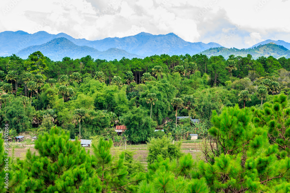 Northern Laos, Xiangkhoang province.