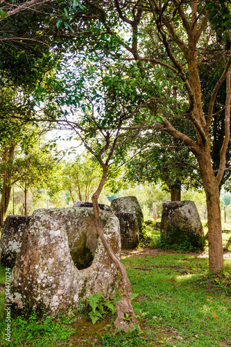 Plain of jars site: 3.  Laos. The Province Of Xiangkhoang. photo