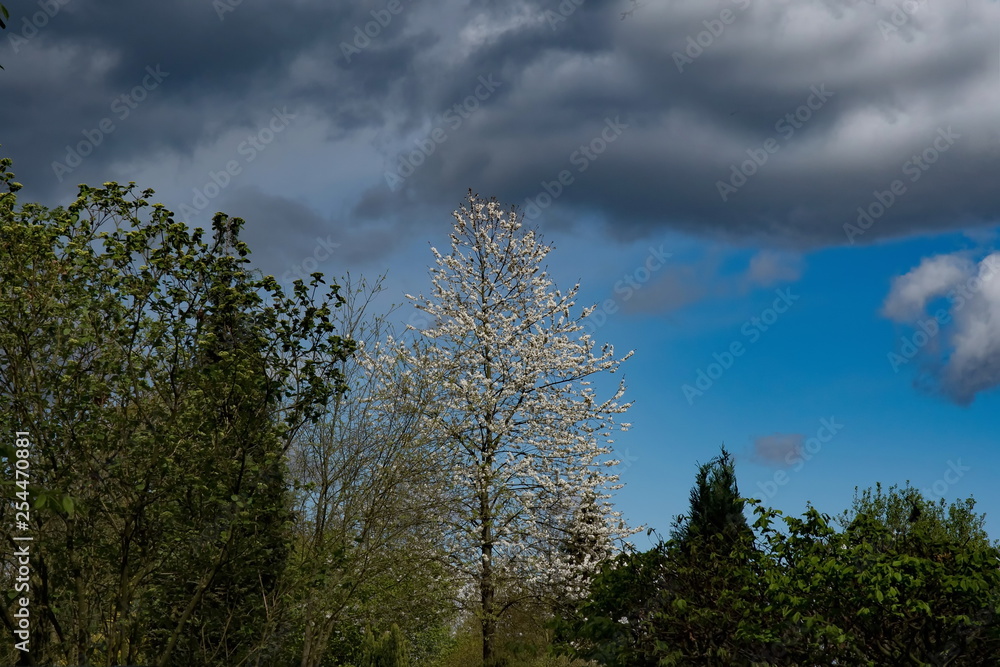 Obraz premium Gewitterwolken