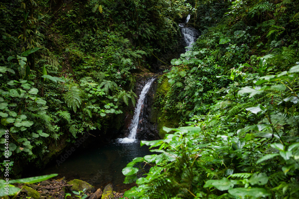 Waterfall in a Monteverde Cloud Forest Reserve in Costa Rica