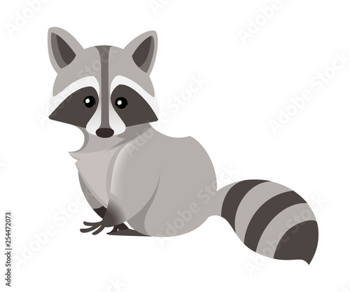 Cute raccoon. North American raccoon, native mammal. Cartoon animal design. Flat vector illustration isolated on white background. Forest inhabitant. Wild animal with grey fur