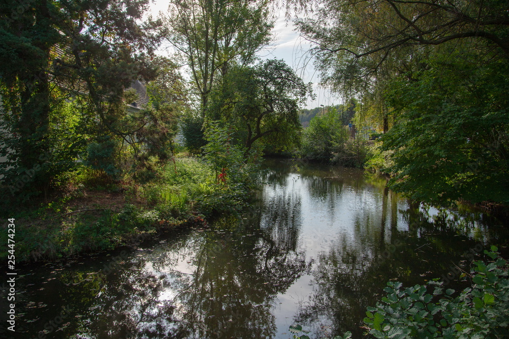 Bach im Park