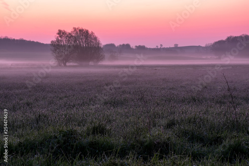 Nebel am Morgen auf Feld mit farbenfrohem Sonnenaufgang, Schleswig-Holstein, Deutschland