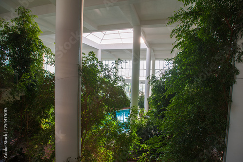 greenhouse inside the building, with a pool inside among the vegetation