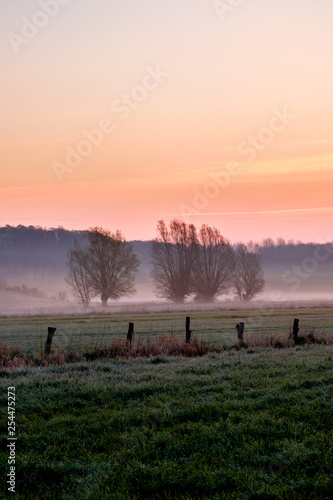 Sonnenaufgang mit Morgenrot, Nebel und Büschen, Schleswig-Holstein