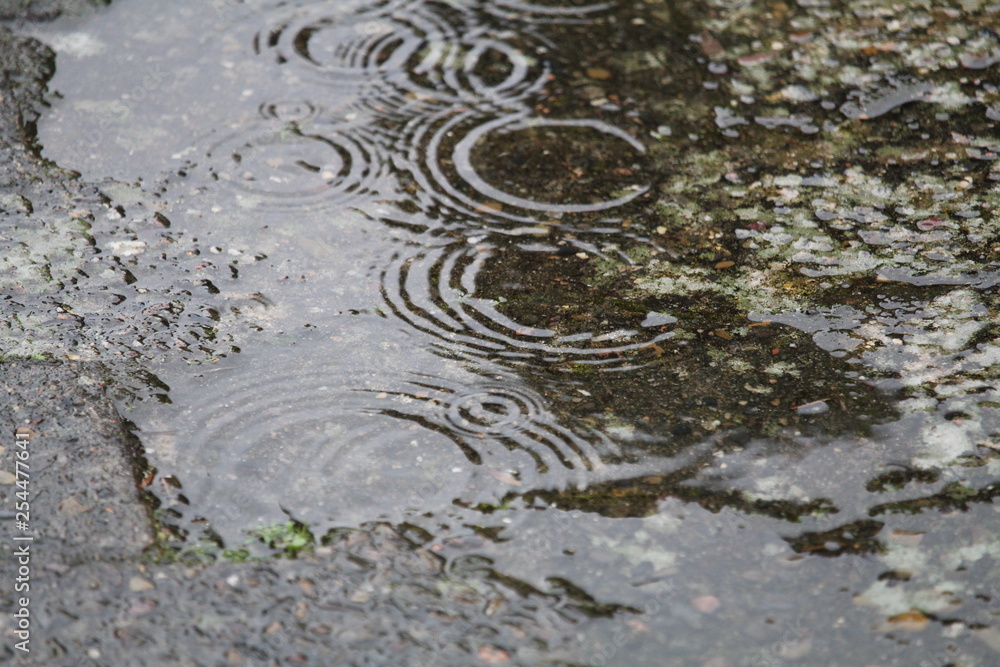 Fototapeta premium Der Regen zieht Kreise