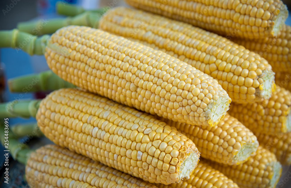 Fresh and healthy Corn starchy vegetable cereal grains. Fresh and healthy Corn starchy vegetable cereal grains.