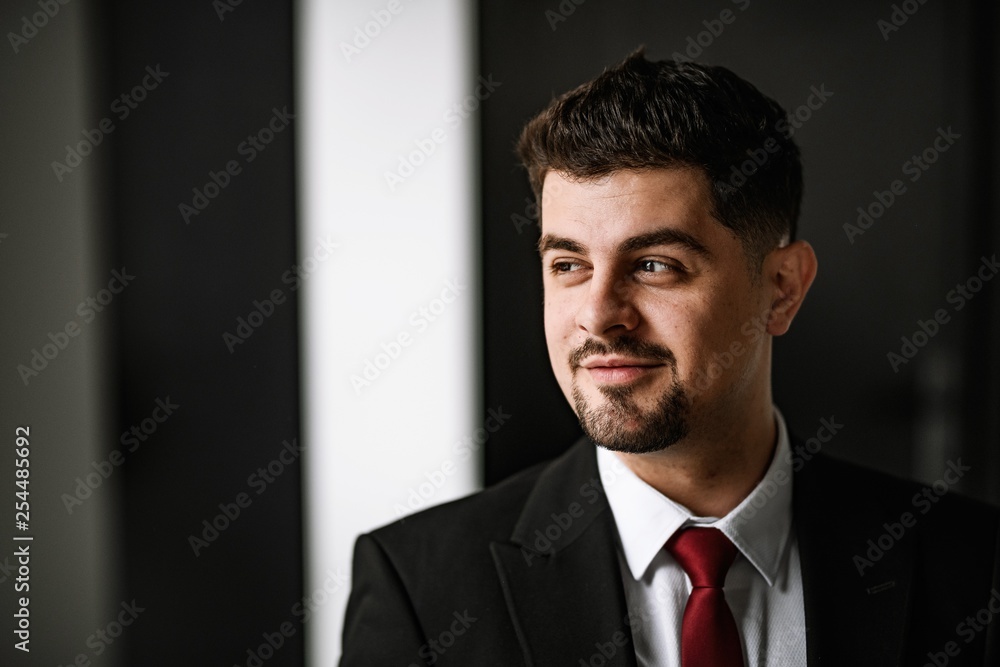 A handsome man in a black suit and a red tie posing at the big window. Business portrait of a man. A handsome man in a black suit and a red tie posing at the big window. Business portrait of a man.