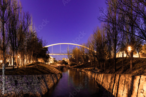 Fototapeta Naklejka Na Ścianę i Meble -  Puente de Bioparc (Valencia)