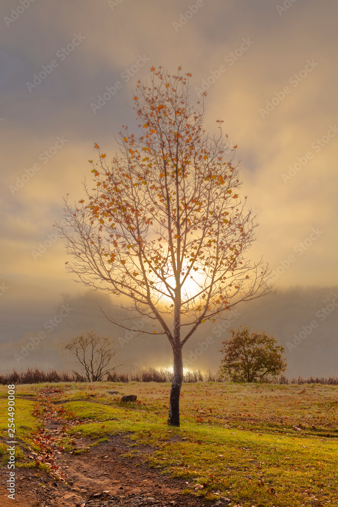 Misty sunrise in autumn