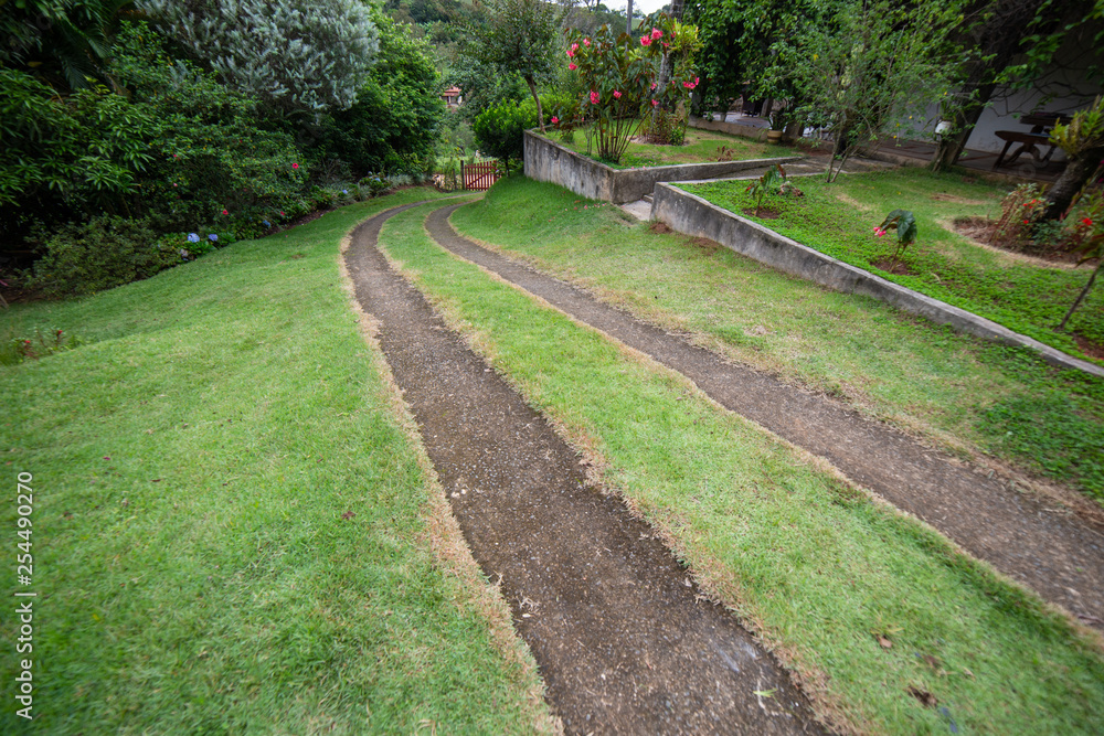 path in the garden path in the garden