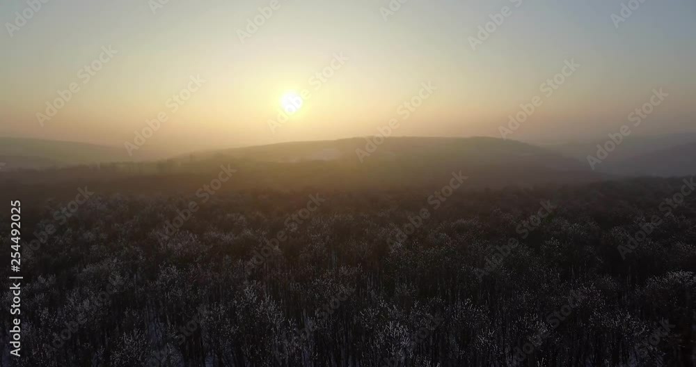 Sunset, aerial shot, winter forest Sunset, aerial shot, winter forest