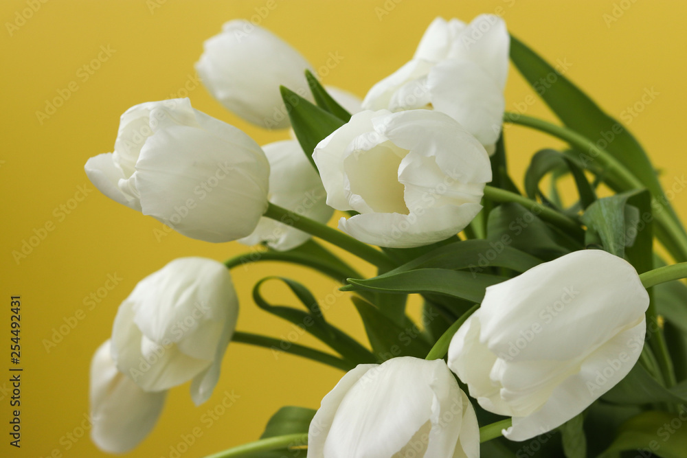 Fototapeta premium Spring bouquet of fresh white tulips on a yellow background
