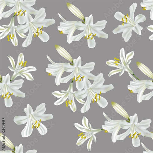 agapanthus flower seamless patttern