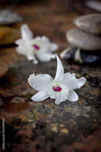 Spa background - stones and...