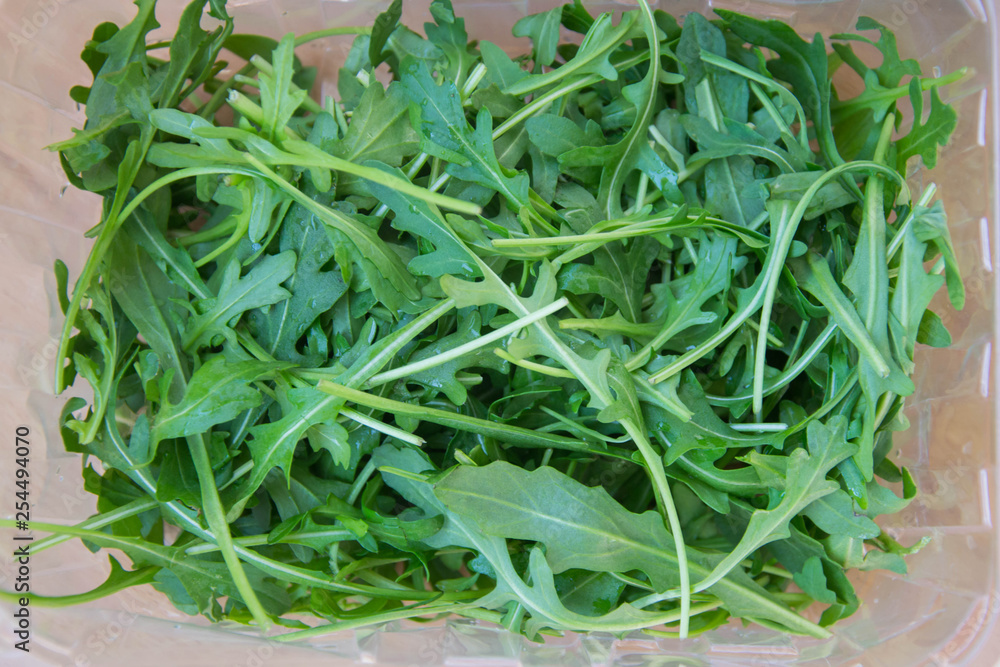 Green arugula leaves on wooden cutting board. Fresh rucola in the kitchen in plastic tray, Italian seasoning. Healthy lifestyle organic food Green arugula leaves on wooden cutting board. Fresh rucola in the kitchen in plastic tray, Italian seasoning. Healthy lifestyle organic food