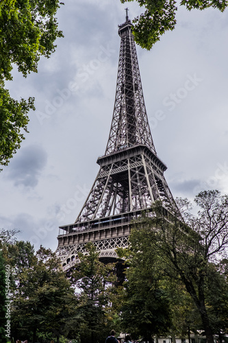 Fototapeta Naklejka Na Ścianę i Meble -  Eiffel Tower from behind the trees.​