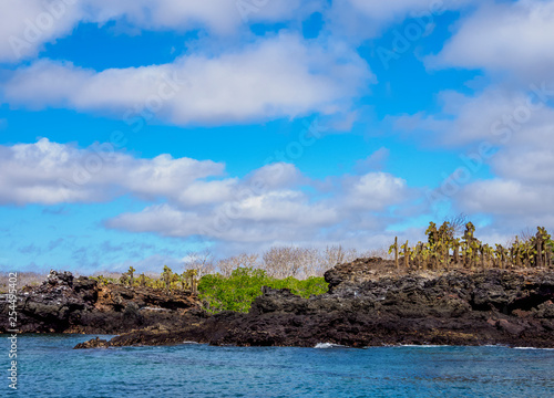 Landscape of the Dragon Hill area, Santa Cruz or Indefatigable Island, Galapagos, Ecuador