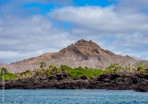 Landscape of the Dragon Hill area, Santa Cruz or Indefatigable Island, Galapagos, Ecuador