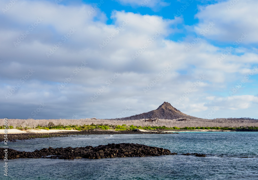 Landscape of the Dragon Hill area, Santa Cruz or Indefatigable Island