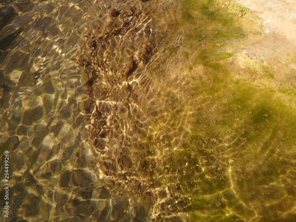 Obraz premium roca con algas