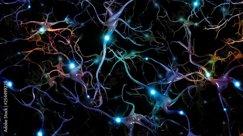 Canvas Print Colorful neurons