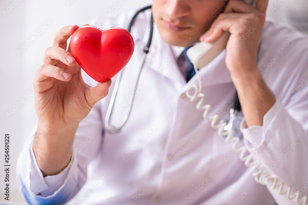 Male doctor cardiologist holding heart model Male doctor cardiologist holding heart model