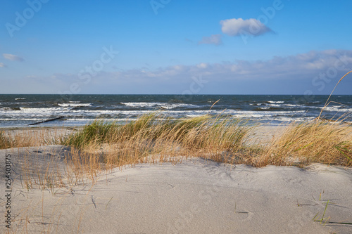 Fototapeta Naklejka Na Ścianę i Meble -  Sand dunes with grass and shrubs protecting beach from the storms in Hiddensee island in Germany