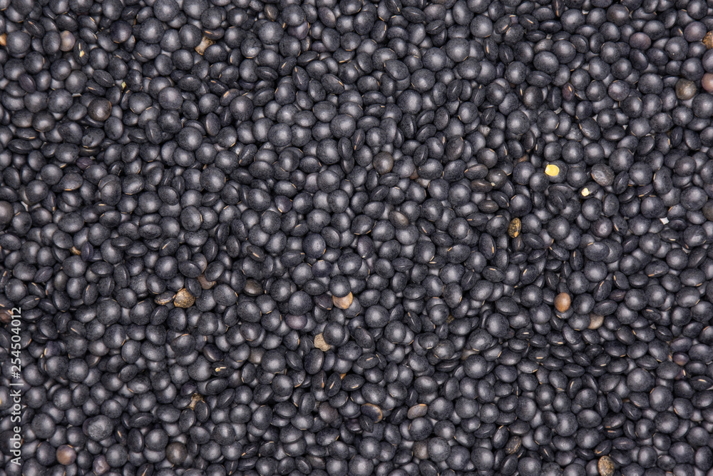 Lot of whole black lentils beluga variety flatlay isolated Lot of whole black lentils beluga variety flatlay isolated