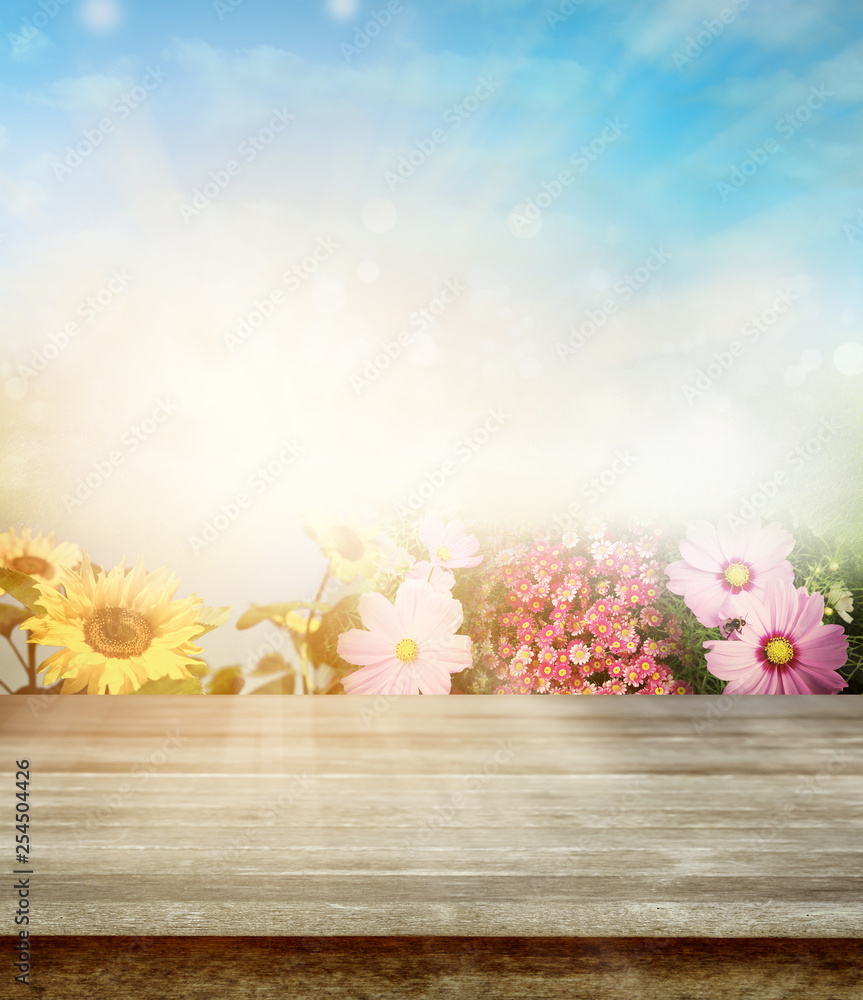Spring time flowers Spring time flowers