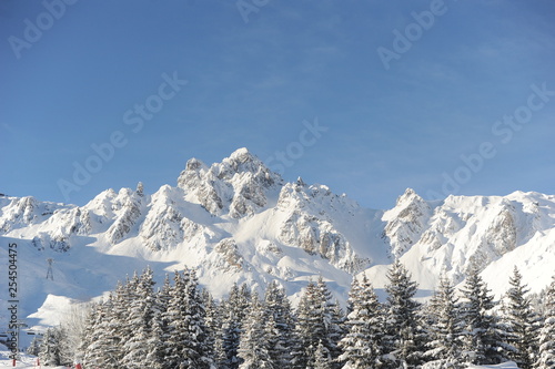 Winter scenery with mountain and snow 