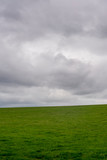 Grassland and cloudy sky, East Sussex, England, UK