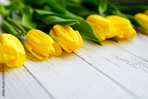 Yellow tulips flowers on white wooden background. Waiting for spring. Happy mother's day, March 8. Flat position, top view. Place for text.