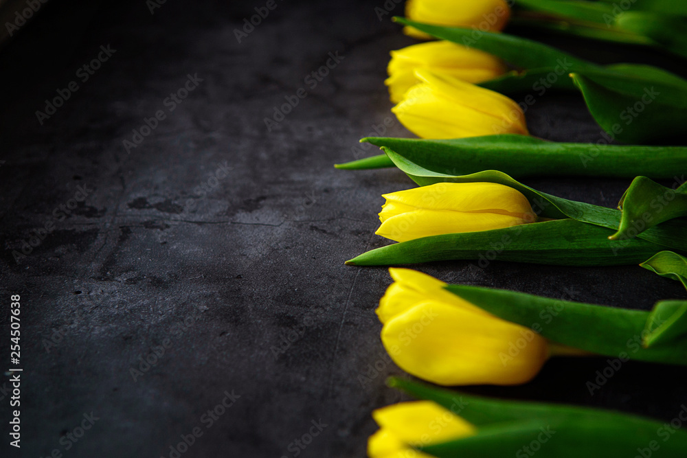 Yellow tulips flowers on dark background. Waiting for spring. Happy Easter card, women's day, mother's day, March 8. Flat position, top view. Place for text.