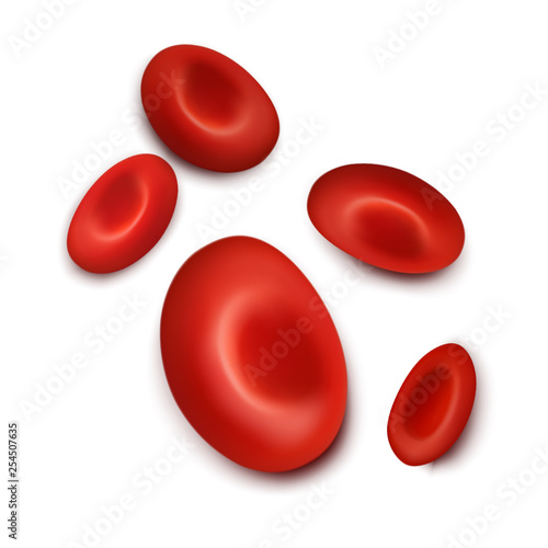 SNn erythrocytes, RBC.  Vector illustration isolated on white background. photo