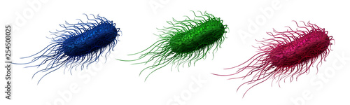 Salmonella bacteria are blue, green and pink. Vector illustration isolated on white background.
