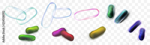 Set of colored rod-shaped bacteria. Vector illustration on a transparent background.