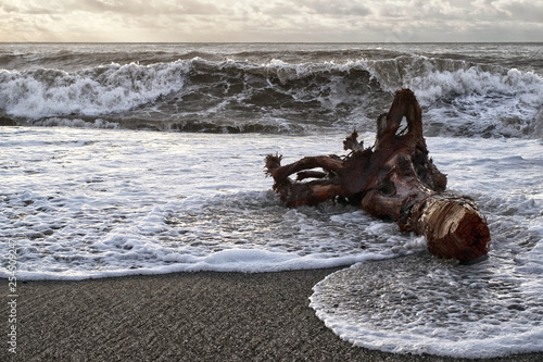 Log on the beach during a storm at sunset