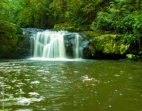 cachoeira no interior da floresta atlantica © Gerson