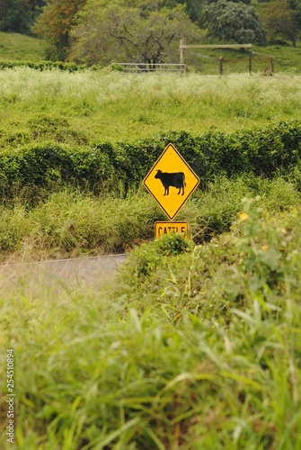 vestige d'une signalisation  photo