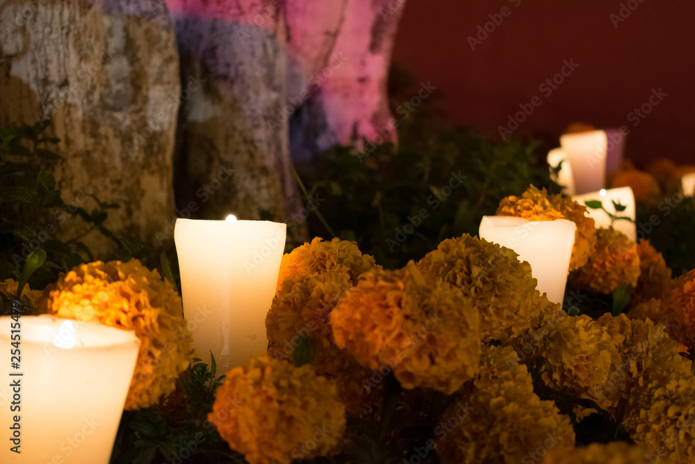 Altar con veladora y flor de cempaxúchitl Stock Photo | Adobe Stock
