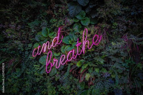 green-leafed plants with and breath LED text photo