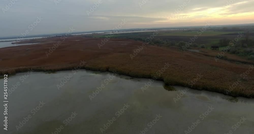 Aerial Shot, fishpond, reeds Aerial Shot, fishpond, reeds