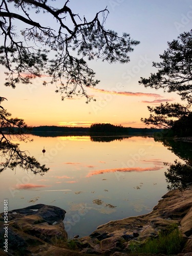 body of water with trees on sides photo